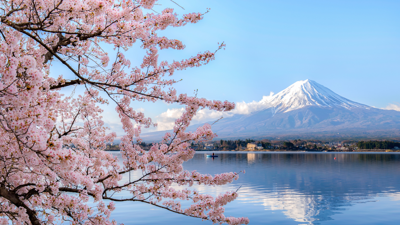 Japan’s Oldest Companies Have Something to Say About Surviving